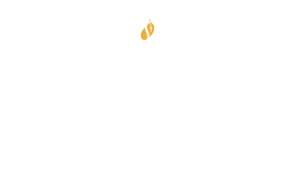 Oribo Shop